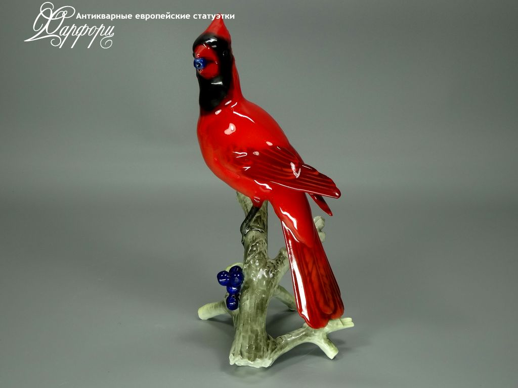 Купить фарфоровые статуэтки Hutschenreuther, Красный кардинал, Германия